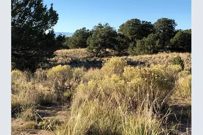 4480 Ridgecrest Way, Crestone, CO 81131 - Photo 17