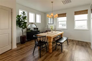 8696 Hotchkiss St, Littleton, CO 80125 - Photo 21