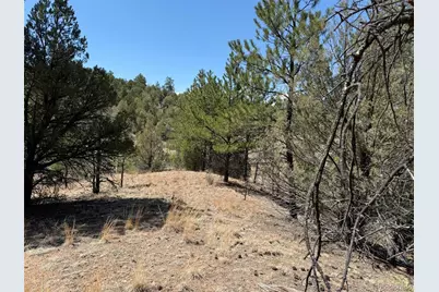 176 Arnold Drive, Cotopaxi, CO 81223 - Photo 3