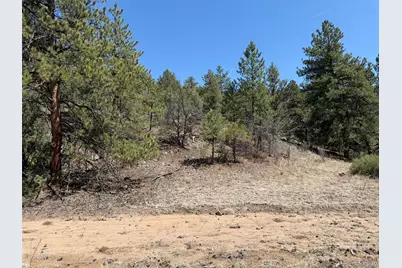 176 Arnold Drive, Cotopaxi, CO 81223 - Photo 41