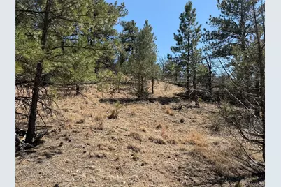 176 Arnold Drive, Cotopaxi, CO 81223 - Photo 29