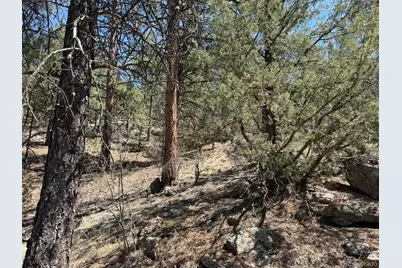 176 Arnold Drive, Cotopaxi, CO 81223 - Photo 33
