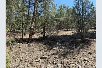 176 Arnold Drive, Cotopaxi, CO 81223 - Photo 31