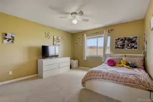 10653 Chadsworth Ln, Highlands Ranch, CO 80126 - Photo 19