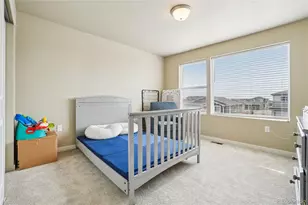 3774 Beech Tree St, Wellington, CO 80549 - Photo 19