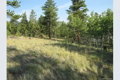 9798 Ranch Road, Hartsel, CO 80449 - Photo 11