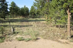 9798 Ranch Rd, Hartsel, CO 80449 - Photo 1