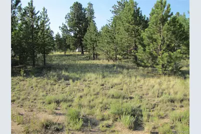 9798 Ranch Road, Hartsel, CO 80449 - Photo 17