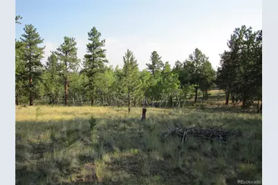 9798 Ranch Road, Hartsel, CO 80449 - Photo 9