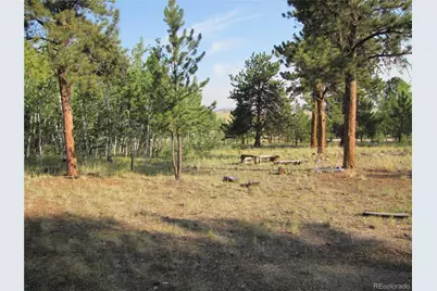 9798 Ranch Road, Hartsel, CO 80449 - Photo 3