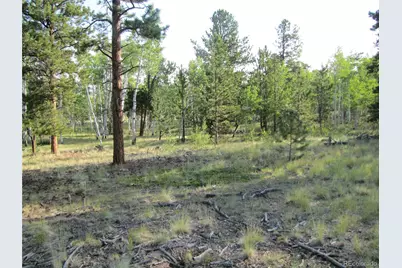 9798 Ranch Road, Hartsel, CO 80449 - Photo 7