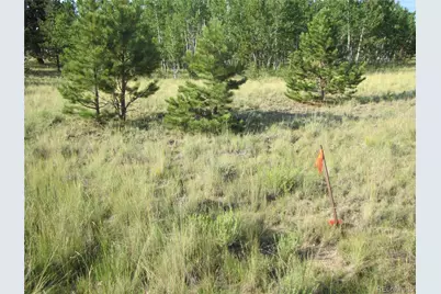 9798 Ranch Road, Hartsel, CO 80449 - Photo 19