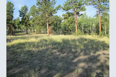 9798 Ranch Road, Hartsel, CO 80449 - Photo 15