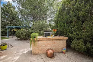 10032 Wyecliff Ct, Highlands Ranch, CO 80126 - Photo 41