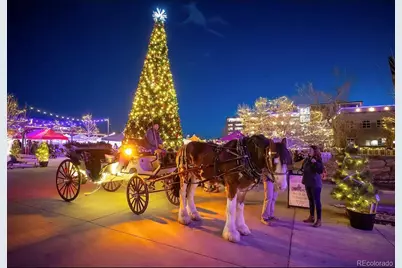 675 Canyon Drive, Castle Rock, CO 80104 - Photo 33