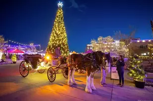 675 Canyon Dr, Castle Rock, CO 80104 - Photo 33