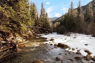 258 E Mountain Ave, Empire, CO 80438 - Photo 19