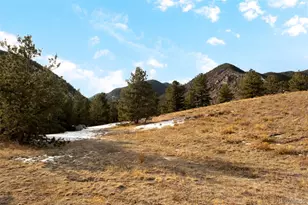 258 E Mountain Ave, Empire, CO 80438 - Photo 23