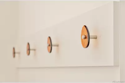 258 E Mountain Avenue, Empire, CO 80438 - Photo 35