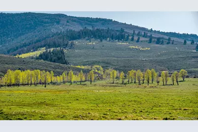 623 County Road 813, Almont, CO 81210 - Photo 21