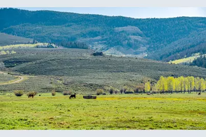 623 County Road 813, Almont, CO 81210 - Photo 31