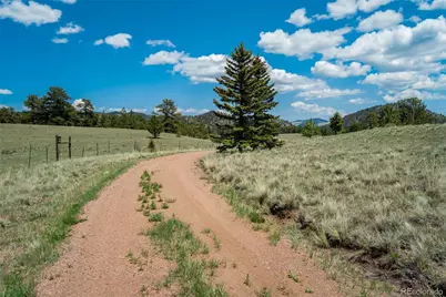 994 Deer Lane, Guffey, CO 80820 - Photo 45