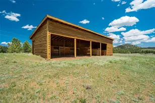 994 Deer Ln, Guffey, CO 80820 - Photo 39