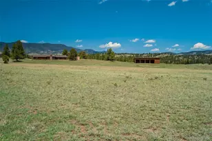 994 Deer Ln, Guffey, CO 80820 - Photo 41