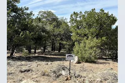 3545 Fallen Tree Place, Crestone, CO 81131 - Photo 5