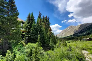 0092 Scr 855, Breckenridge, CO 80424 - Photo 3