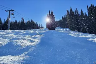 0092 Scr 855, Breckenridge, CO 80424 - Photo 27