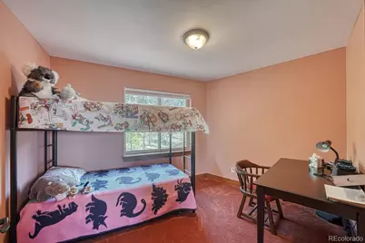 441 Kaufman Road, Hartsel, CO 80449 - Photo 21