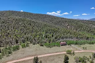 441 Kaufman Rd, Hartsel, CO 80449 - Photo 47