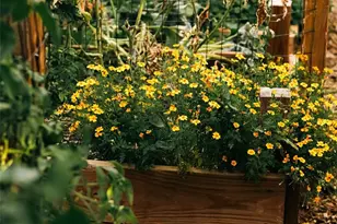 4390 Shaw Blvd, Westminster, CO 80031 - Photo 49