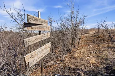 4347 N Crowfoot Valley Road, Castle Rock, CO 80108 - Photo 47