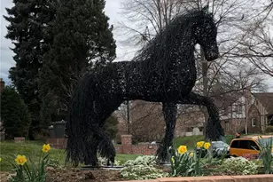 1601 Ivanhoe St, Denver, CO 80220 - Photo 35