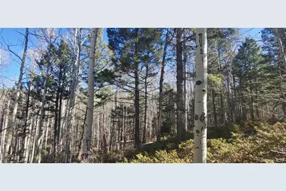 Lot 6060 Forbes Road, San Luis, CO 81152 - Photo 13