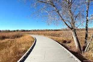 3715 E 127th Way, Thornton, CO 80241 - Photo 31