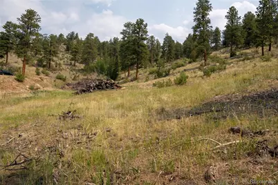 13990 Pine Valley Road, Pine, CO 80470 - Photo 3