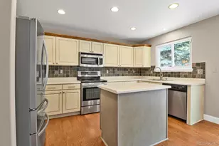 10037 Darwin Ln, Highlands Ranch, CO 80130 - Photo 11