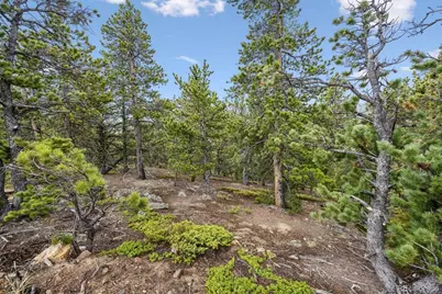 257 Sunny Skies Trail, Idaho Springs, CO 80452 - Photo 41