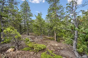 257 Sunny Skies Trail, Idaho Springs, CO 80452 - Photo 41