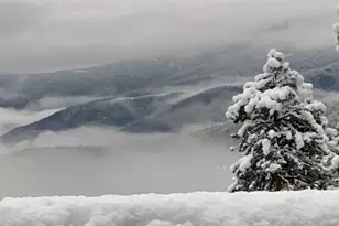 257 Sunny Skies Trail, Idaho Springs, CO 80452 - Photo 7