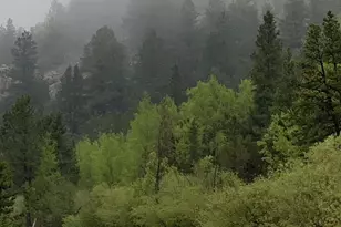 257 Sunny Skies Trail, Idaho Springs, CO 80452 - Photo 49