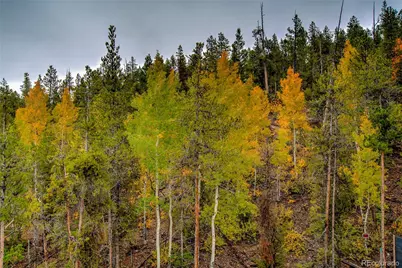 48 Mt Elbert Road, Twin Lakes, CO 81251 - Photo 45