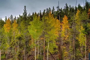 48 Mt Elbert Rd, Twin Lakes, CO 81251 - Photo 45