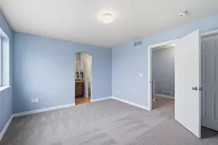 20641 Randolph Pl, Denver, CO 80249 - Photo 21