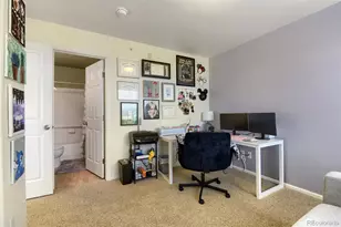431 Black Feather Loop, Castle Rock, CO 80104 - Photo 13