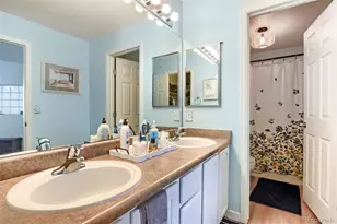 431 Black Feather Loop, Castle Rock, CO 80104 - Photo 17