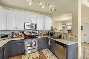 431 Black Feather Loop, Castle Rock, CO 80104 - Photo 7